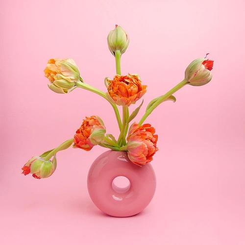 &Klevering Amsterdam Vase Torus Pink 